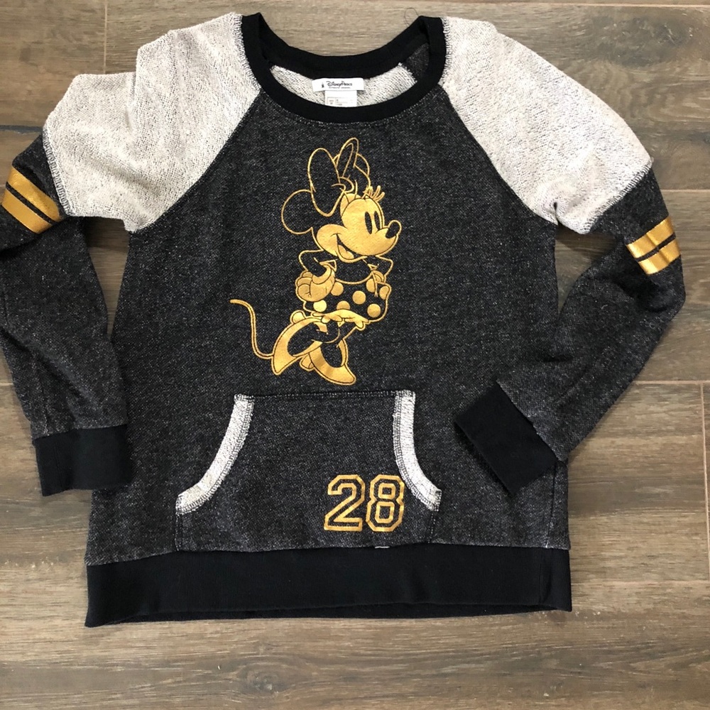DisneyParks sweater.